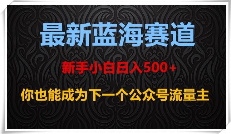 最新蓝海赛道，新手小白日入500+，你也能成为下一个公众号流量主【揭秘】 - 小毅网创-小毅网创