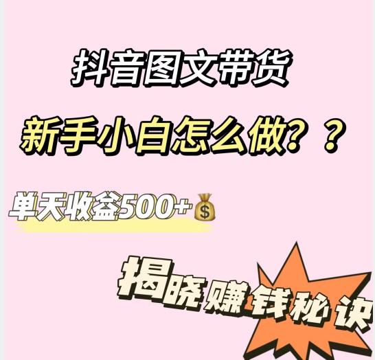 抖音图文带货，新手小白怎么做？单天收益500+【揭秘赚钱秘诀】 - 小毅网创-小毅网创