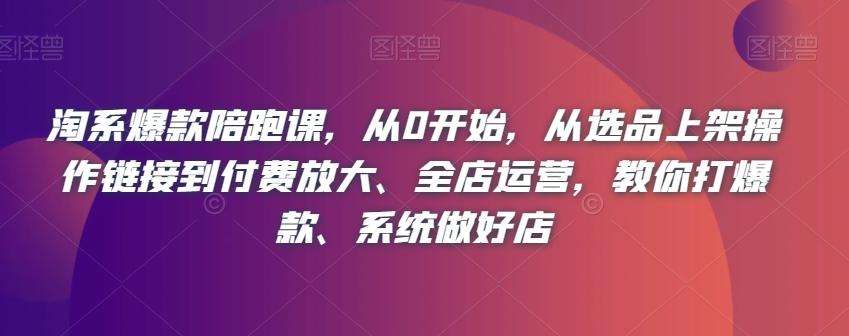 淘系爆款陪跑课，从0开始，从选品上架操作链接到付费放大、全店运营，教你打爆款、系统做好店 - 小毅网创-小毅网创