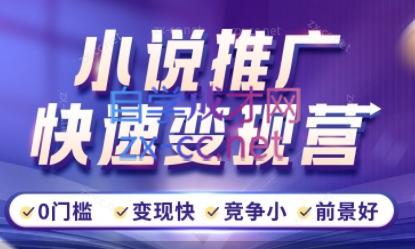 洲洲老师·小说推广快速变现营 - 小毅网创-小毅网创