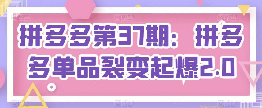 拼多多第37期：拼多多单品裂变起爆2.0 - 小毅网创-小毅网创