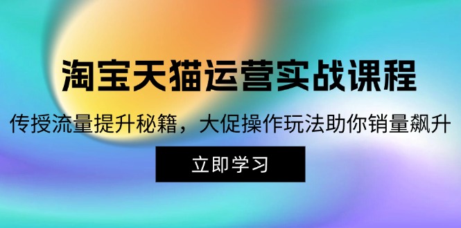 淘宝&天猫运营实战课程，传授流量提升秘籍，大促操作玩法助你销量飙升 - 小毅网创-小毅网创