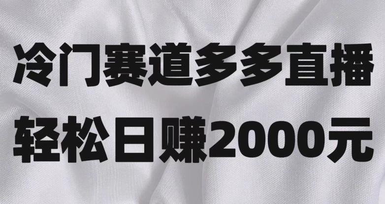 冷门赛道拼多多直播，简单念稿子，日收益2000＋【揭秘】 - 小毅网创-小毅网创