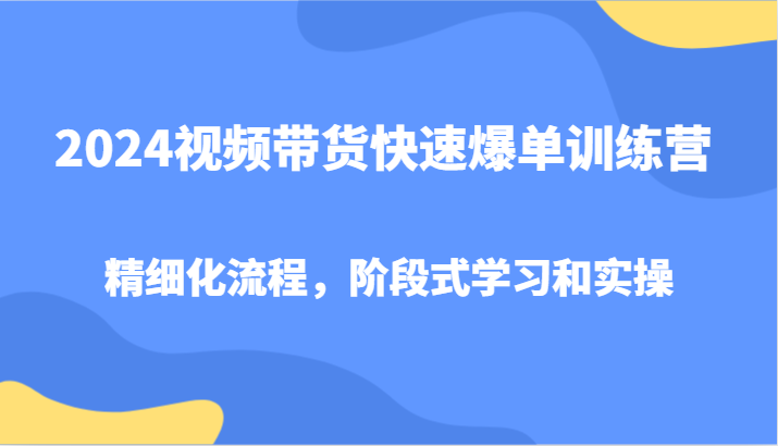 2024视频带货快速爆单训练营，精细化流程，阶段式学习和实操 - 小毅网创-小毅网创