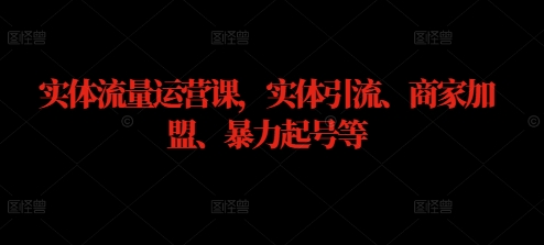 实体流量运营课，实体引流、商家加盟、暴力起号等 - 小毅网创-小毅网创