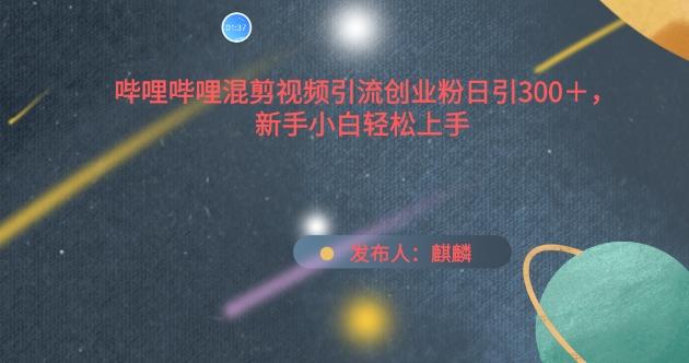 哔哩哔哩混剪视频引流创业粉日引300+，新手小白轻松上手【揭秘】 - 小毅网创-小毅网创