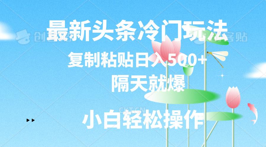 最新头条冷门玩法，隔天就爆，复制粘贴日入500+ - 小毅网创-小毅网创