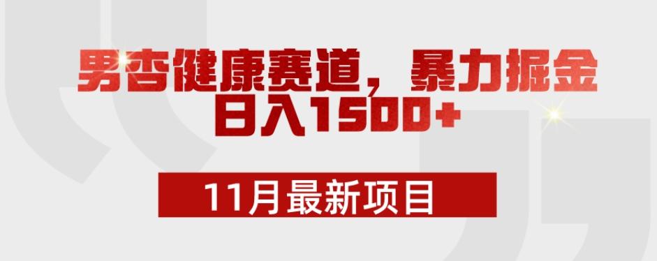 11月最新项目，男杏健康赛道，暴力掘金，日入1500+ - 小毅网创-小毅网创