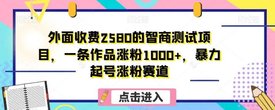 外面收费2580的智商测试项目，一条作品涨粉1000+，暴力起号涨粉赛道【揭秘】 - 小毅网创-小毅网创