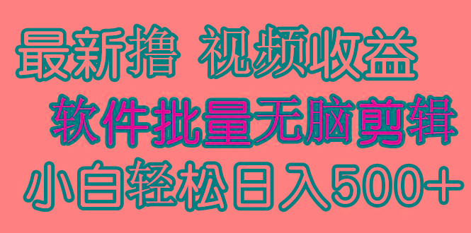 (9569期)发视频撸收益，软件无脑批量剪辑，第一天发第二天就有钱 - 小毅网创-小毅网创