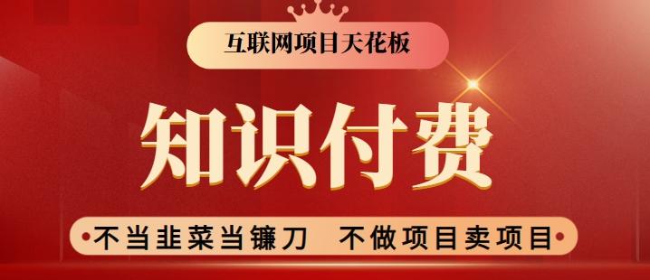 2024互联网项目天花板，新手小白也可以通过知识付费月入10W，实现财富自由【揭秘】 - 小毅网创-小毅网创