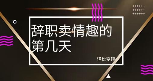 冷门赛道，辞职卖情趣的第几天，超暴力项目 - 小毅网创-小毅网创