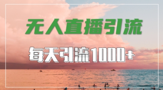 抖音快手视频号全平台通用，无人直播引流法，超暴力引流1000+高质量精准创业粉【揭秘】 - 小毅网创-小毅网创