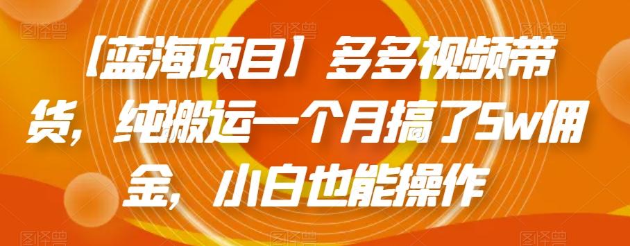 【蓝海项目】多多视频带货，纯搬运一个月搞了5w佣金，小白也能操作【揭秘】 - 小毅网创-小毅网创