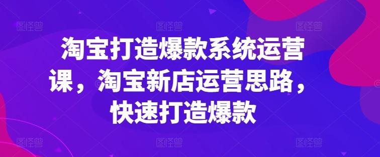 淘宝打造爆款系统运营课，淘宝新店运营思路，快速打造爆款 - 小毅网创-小毅网创