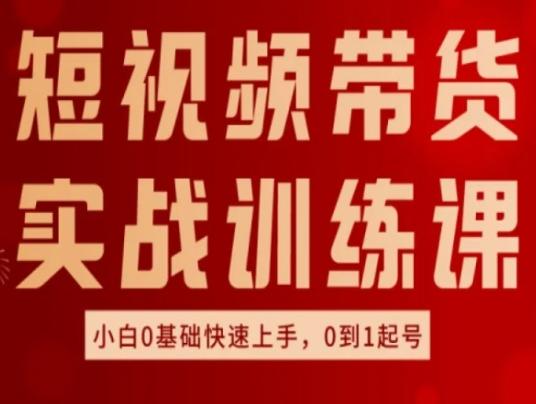 短视频带货实战训练课，好物分享实操，小白0基础快速上手，0到1起号 - 小毅网创-小毅网创