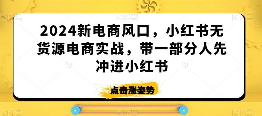 2024新电商风口，小红书无货源电商实战，带一部分人先冲进小红书 - 小毅网创-小毅网创