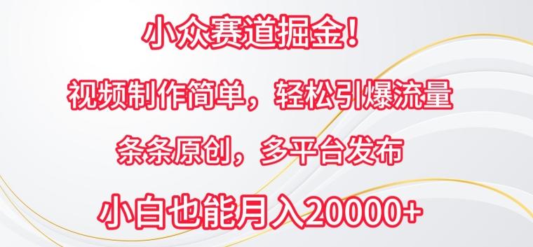 小众赛道掘金，视频制作简单，轻松引爆流量，条条原创，多平台发布【揭秘】 - 小毅网创-小毅网创
