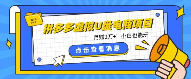 拼多多虚拟U盘电商红利项目：月赚2万+，新手小白也能玩 - 小毅网创-小毅网创