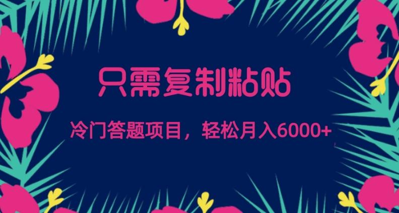 只需复制粘贴，冷门答题项目，轻松月入6000 - 小毅网创-小毅网创
