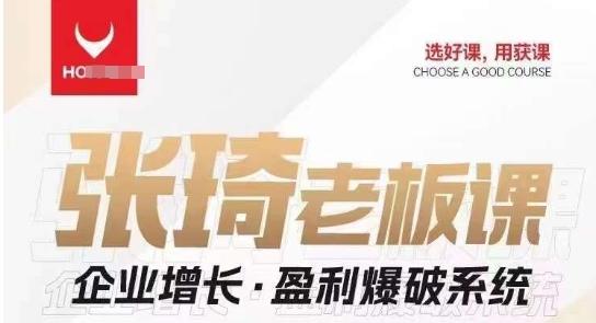 【组合课】张琦张琦老板企业增长·盈利爆破系统（直播专享） - 小毅网创-小毅网创