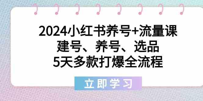 2024小红书养号+流量课：建号、养号、选品，5天多款打爆全流程 - 小毅网创-小毅网创