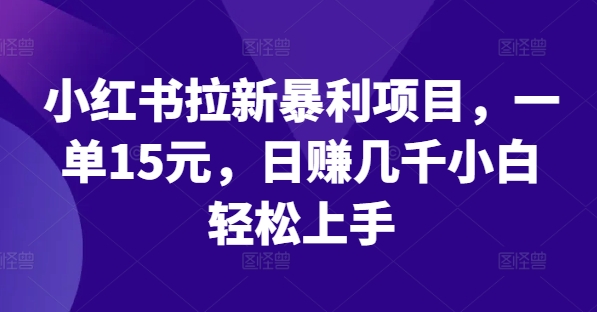 小红书拉新暴利项目，一单15元，日赚几千小白轻松上手【揭秘】 - 小毅网创-小毅网创