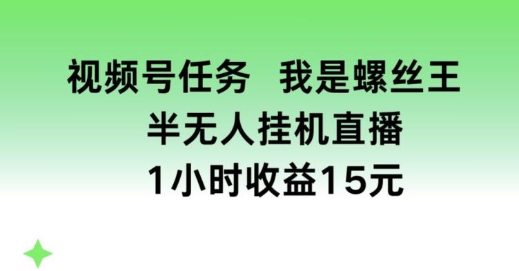 视频号任务，我是螺丝王， 半无人挂机1小时收益15元【揭秘】 - 小毅网创-小毅网创