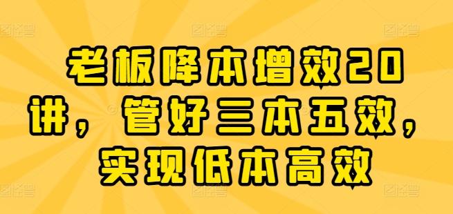 老板降本增效20讲，管好三本五效，实现低本高效 - 小毅网创-小毅网创