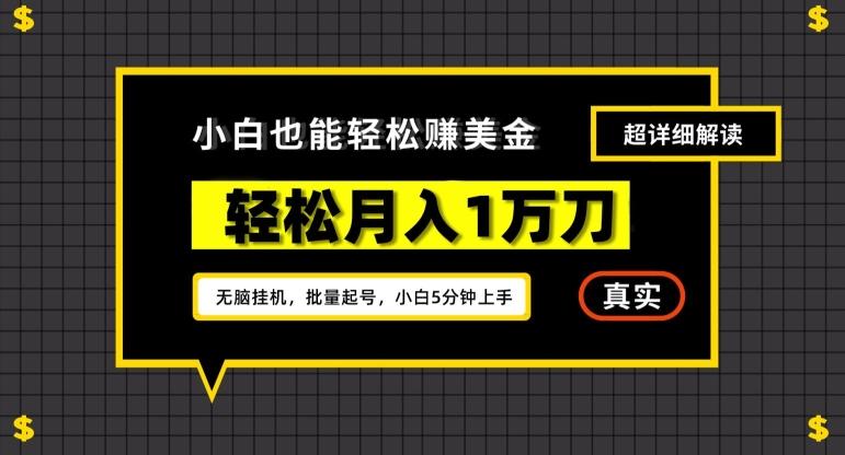谷歌看广告撸美金2.0，无脑挂机，多号操作，月入1万刀【揭秘】 - 小毅网创-小毅网创