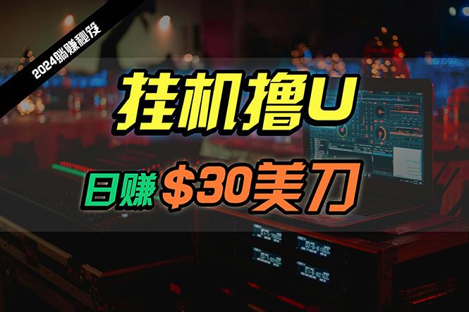 (10013期)日赚30美刀，2024最新海外挂机撸U内部项目，全程无人值守，可批量放大 - 小毅网创-小毅网创