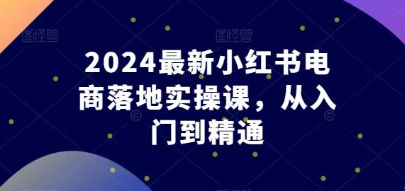 2024最新小红书电商落地实操课，从入门到精通 - 小毅网创-小毅网创