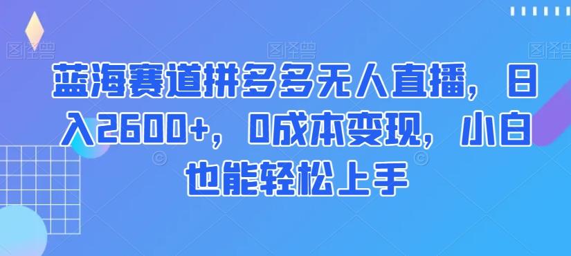 蓝海赛道拼多多无人直播，日入2600+，0成本变现，小白也能轻松上手【揭秘】 - 小毅网创-小毅网创