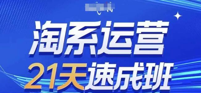 淘系运营21天速成班(更新24年6月)，0基础轻松搞定淘系运营，不做假把式 - 小毅网创-小毅网创