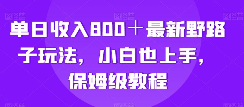 单日收入800＋最新野路子玩法，小白也上手，保姆级教程 - 小毅网创-小毅网创