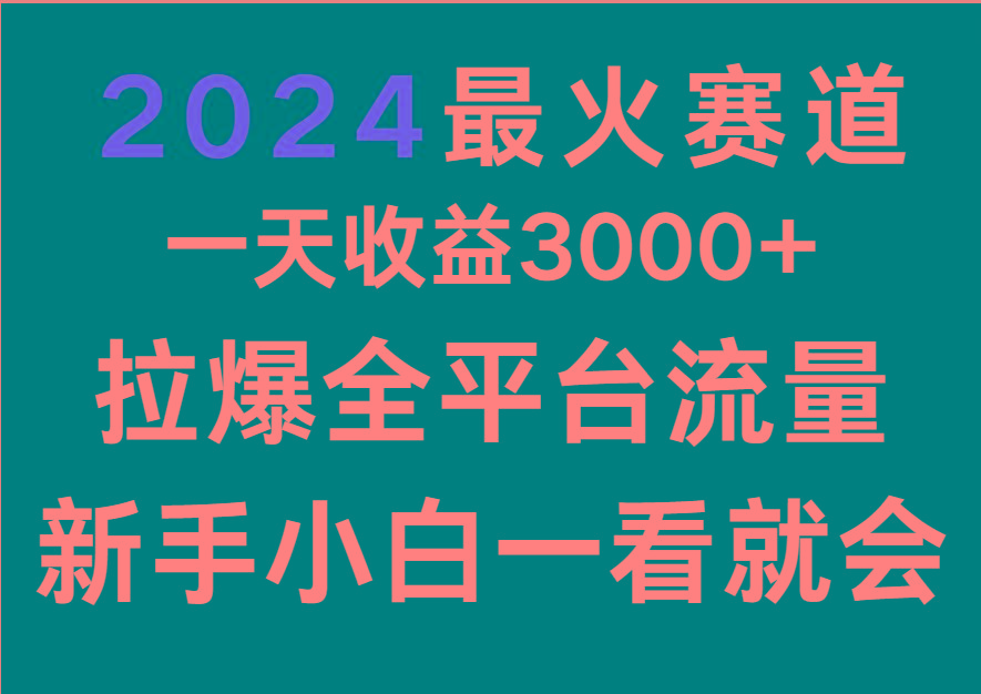 2024最火赛道，一天收一3000+.拉爆全平台流量，新手小白一看就会 - 小毅网创-小毅网创