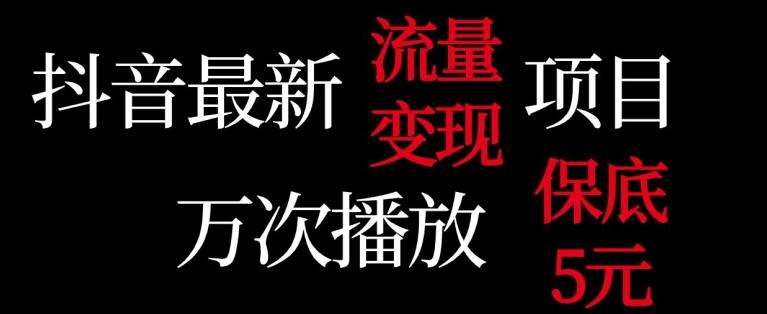 抖音流量变现，万次播放保底5元，额外收入 - 小毅网创-小毅网创