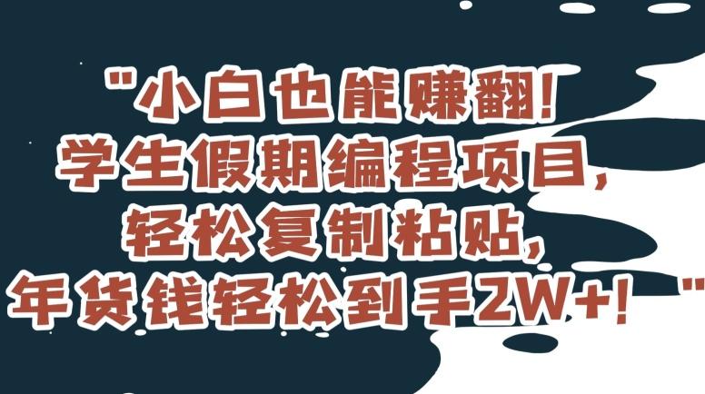 小白也能赚翻！学生假期编程项目，轻松复制粘贴，年货钱轻松到手2W+【揭秘】 - 小毅网创-小毅网创