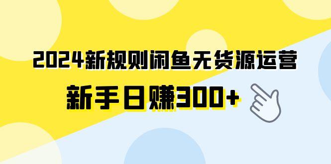 (9522期)2024新规则闲鱼无货源运营新手日赚300+ - 小毅网创-小毅网创