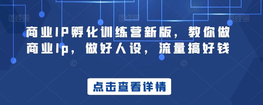 商业IP孵化训练营新版，教你做商业Ip，做好人设，流量搞好钱 - 小毅网创-小毅网创