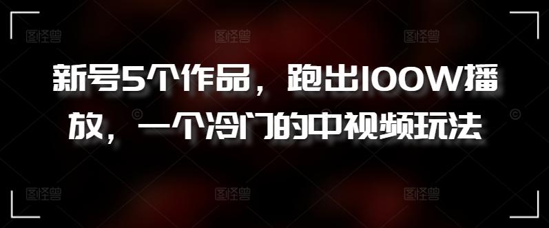 新号5个作品，跑出100W播放，一个冷门的中视频玩法【揭秘】 - 小毅网创-小毅网创