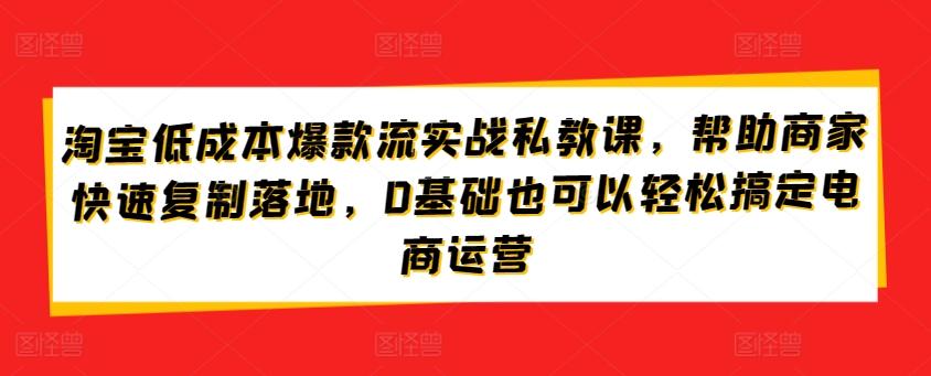 淘宝低成本爆款流实战私教课，帮助商家快速复制落地，0基础也可以轻松搞定电商运营 - 小毅网创-小毅网创