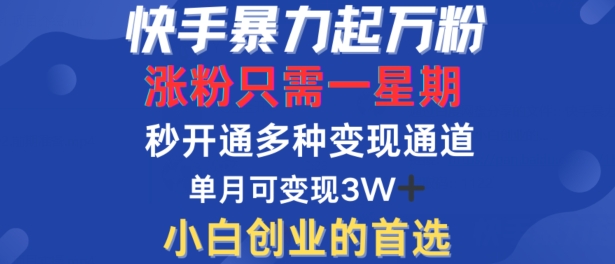 快手暴力起万粉，涨粉只需一星期，多种变现模式，直接秒开万合，单月变现过W【揭秘】-小毅网创