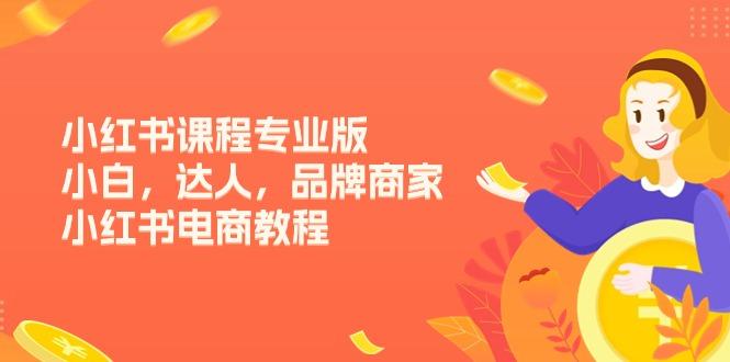 小红书课程专业版，小白，达人，品牌商家，小红书电商教程(15节 - 小毅网创-小毅网创