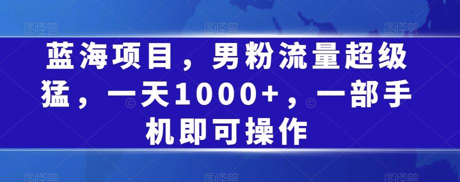 蓝海项目，男粉流量超级猛，一天1000+，一部手机即可操作【揭秘】 - 小毅网创-小毅网创