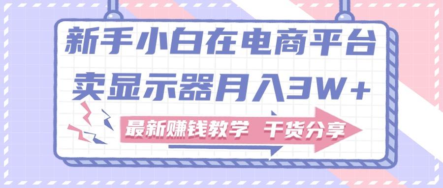 新手小白如何做到在电商平台卖显示器月入3W+，最新赚钱教学干货分享 - 小毅网创-小毅网创
