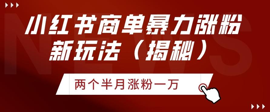 小红书商单暴力涨粉新玩法两个半月涨粉一万（揭秘） - 小毅网创-小毅网创