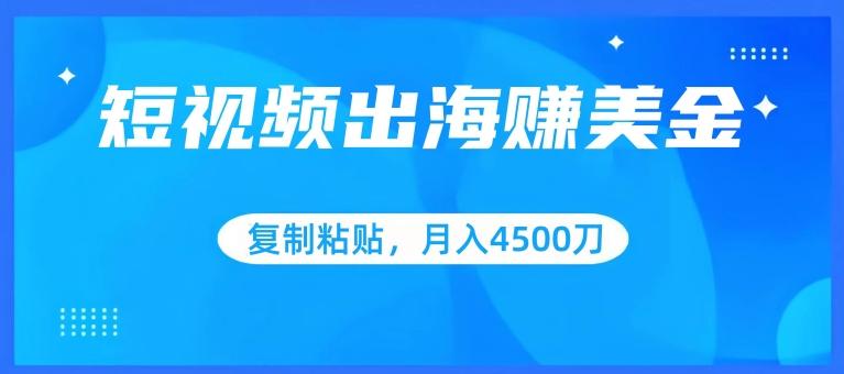 短视频出海赚美金，复制粘贴批量操作，小白轻松掌握，月入4500美刀【揭秘】 - 小毅网创-小毅网创