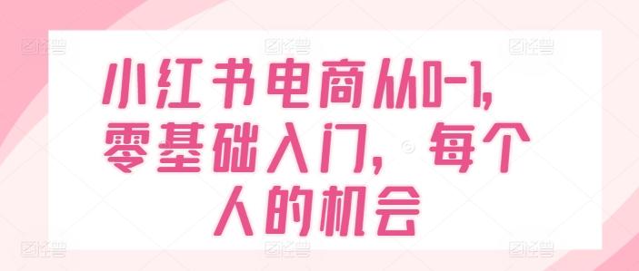 小红书电商从0-1，零基础入门，每个人的机会 - 小毅网创-小毅网创