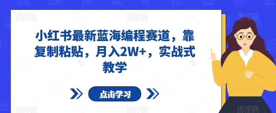 小红书最新蓝海编程赛道，靠复制粘贴，月入2W+，实战式教学【揭秘】 - 小毅网创-小毅网创